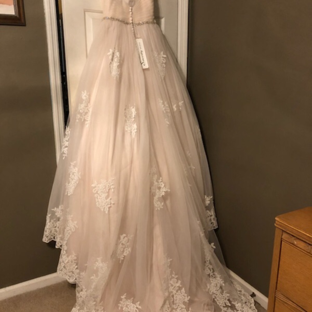 Never Worn Wedding Dress!
